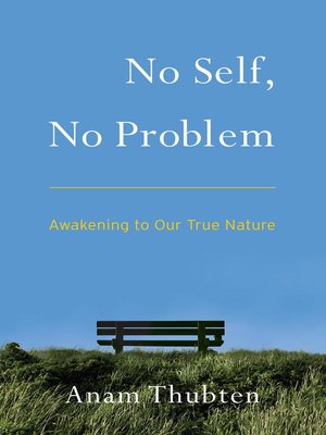 cover image of No Self, No Problem